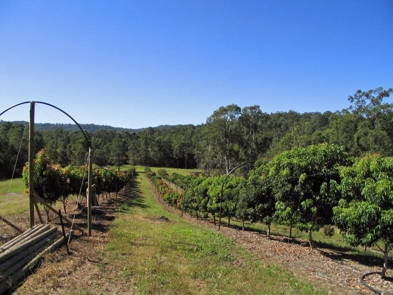 Mooloolah Valley QLD 4553