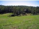 Mooloolah Valley QLD 4553