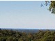 Mooloolah Valley QLD 4553
