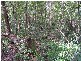 Mooloolah Valley QLD 4553