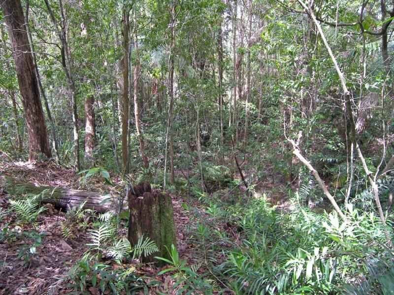 Mooloolah Valley QLD 4553