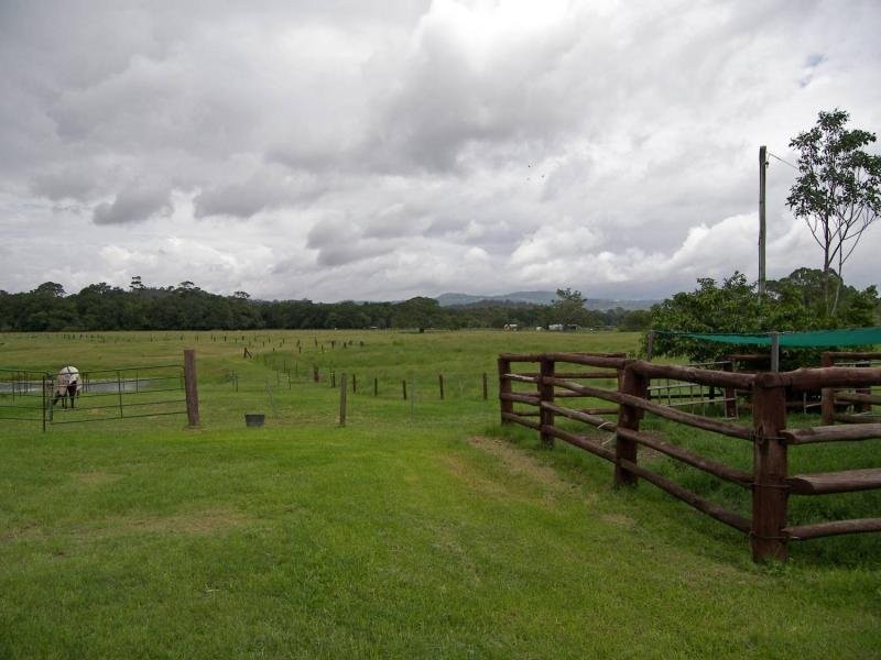 Mooloolah Valley QLD 4553