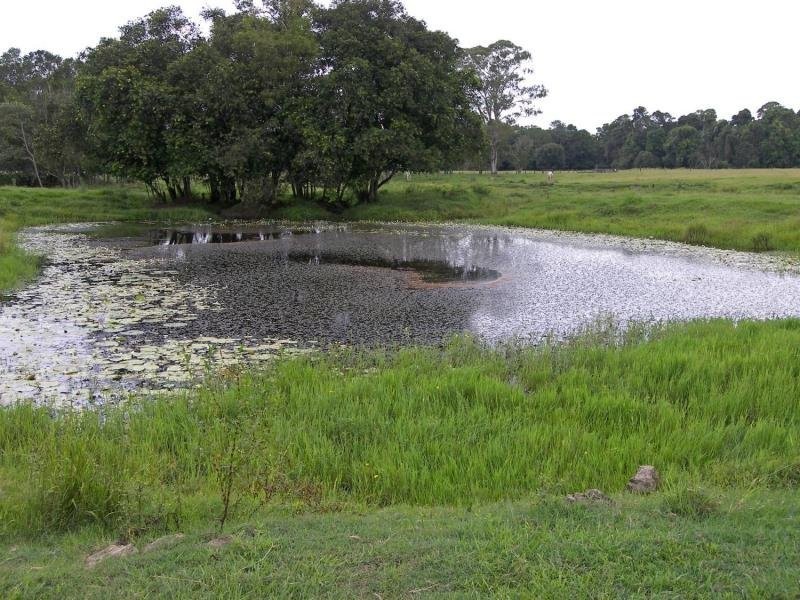 Mooloolah Valley QLD 4553