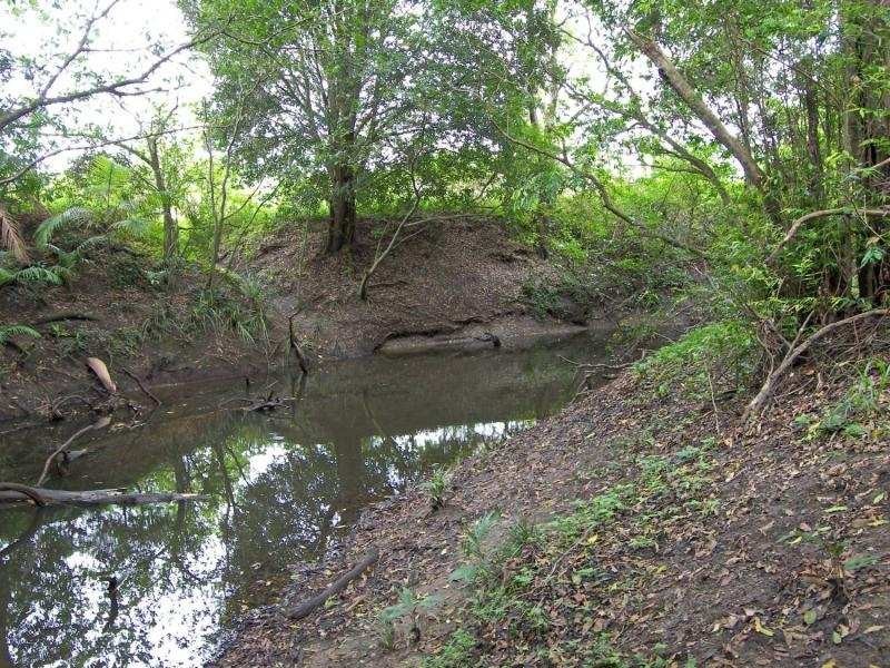 Mooloolah Valley QLD 4553