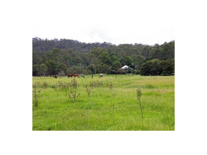 Mooloolah Valley QLD 4553