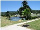 Mooloolah Valley QLD 4553