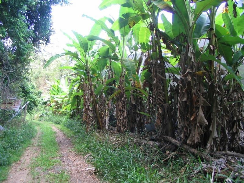 Mooloolah Valley QLD 4553