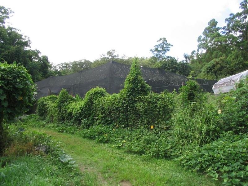 Mooloolah Valley QLD 4553