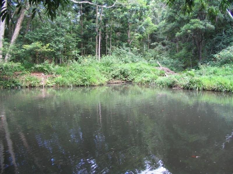 Mooloolah Valley QLD 4553