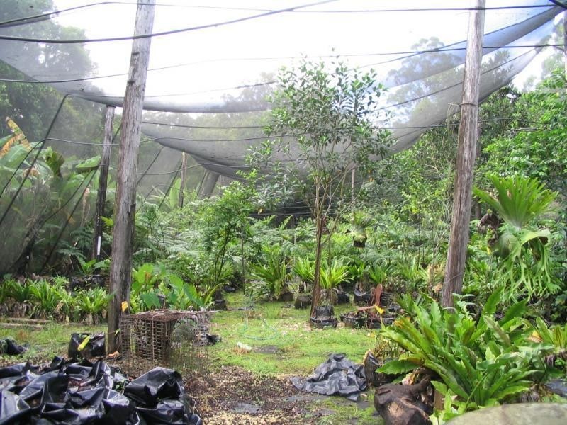 Mooloolah Valley QLD 4553