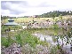 Mooloolah Valley QLD 4553