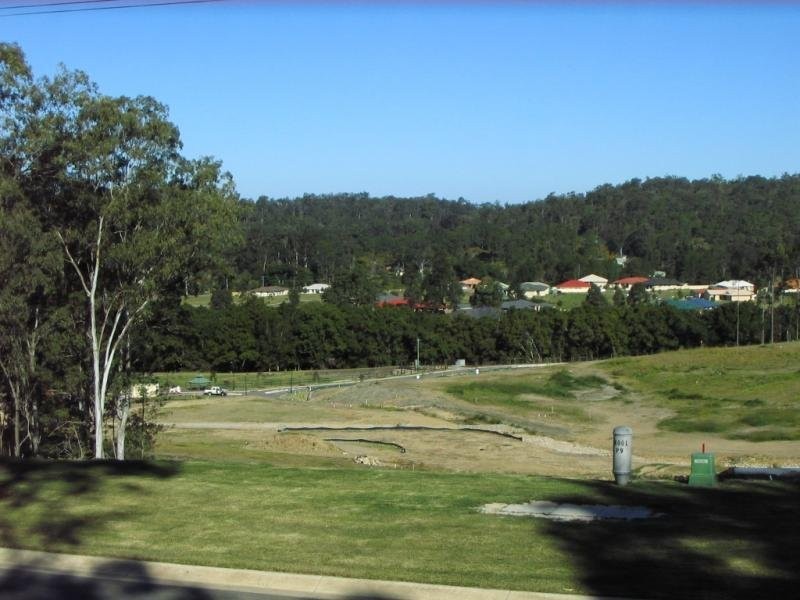 Mooloolah Valley QLD 4553