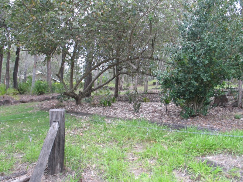 Glass House Mountains QLD 4518