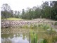 Mooloolah Valley QLD 4553