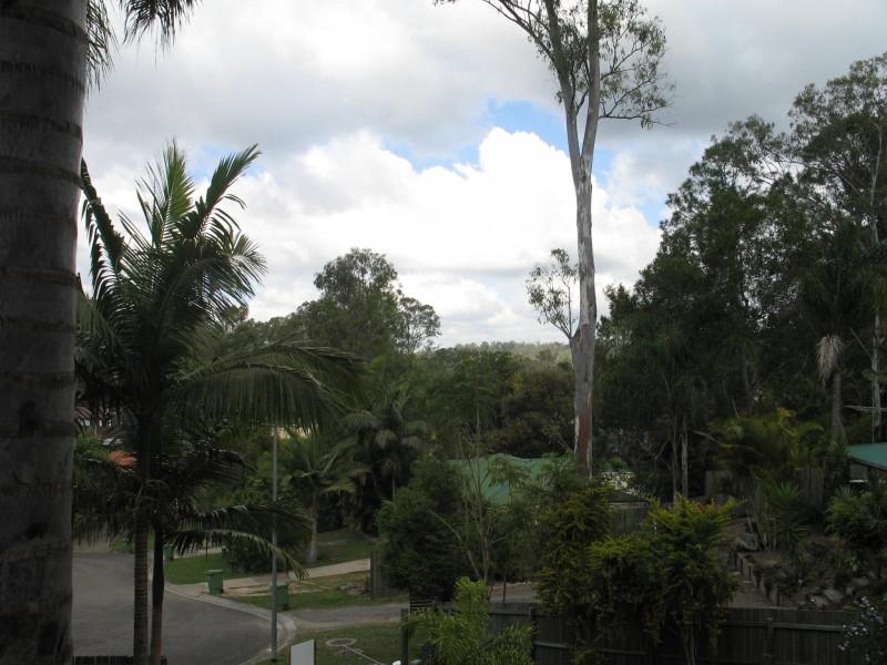 Mooloolah Valley QLD 4553