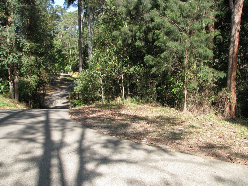 Mooloolah Valley QLD 4553