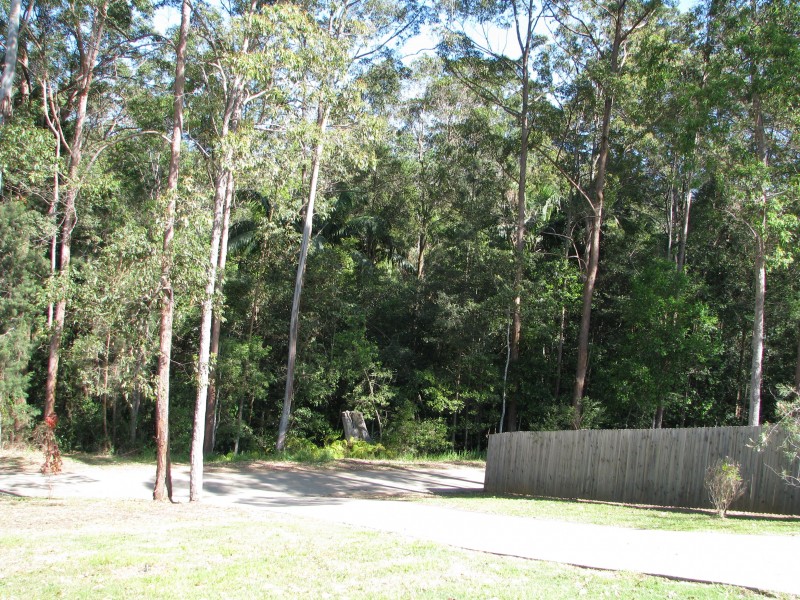 Mooloolah Valley QLD 4553