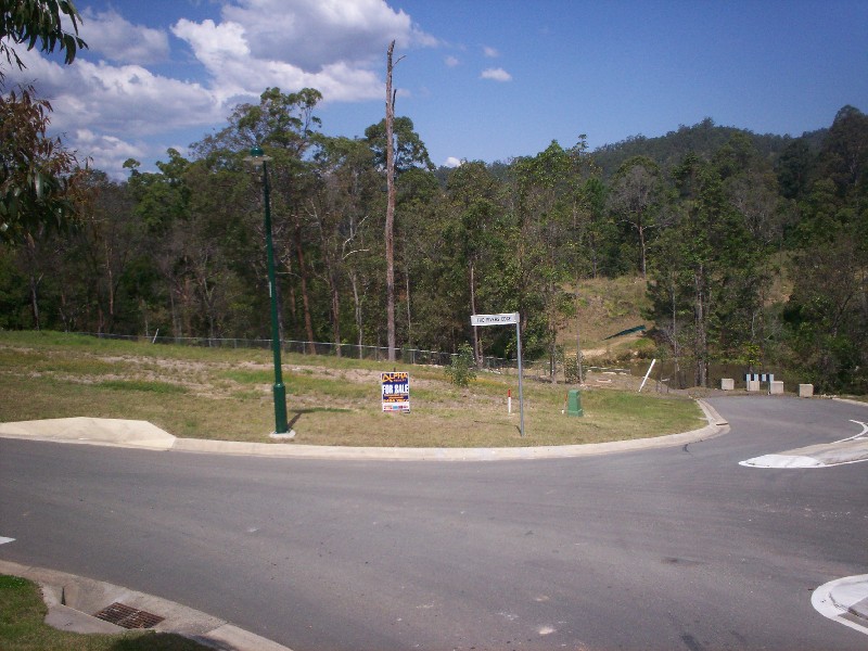 Mooloolah Valley QLD 4553