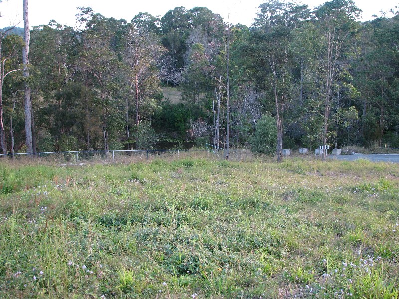 Mooloolah Valley QLD 4553