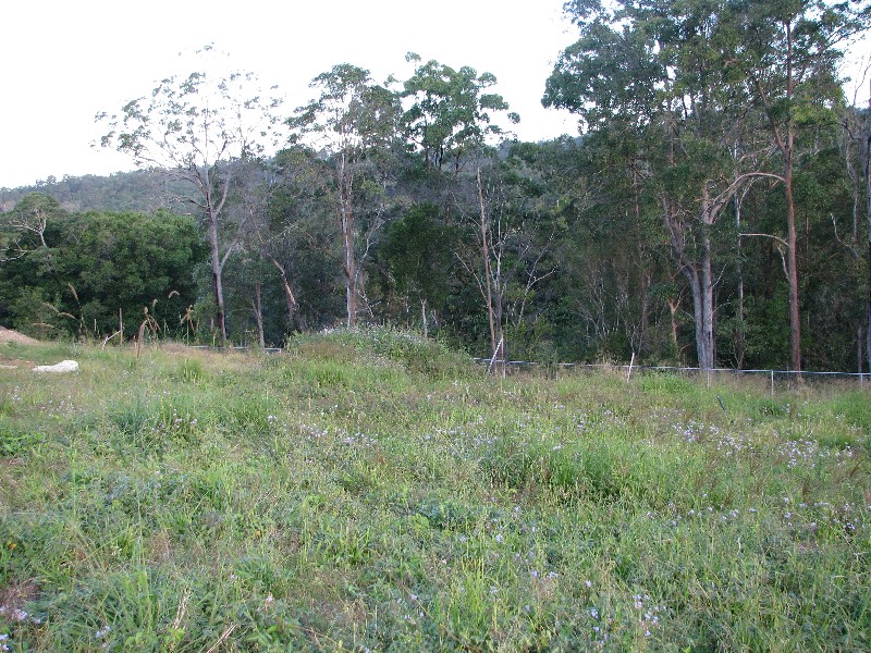 Mooloolah Valley QLD 4553