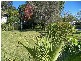 Landsborough QLD 4550