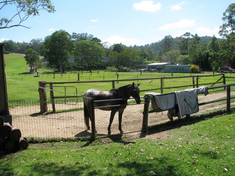 120 Old Gympie Rd, Mooloolah Valley QLD 4553