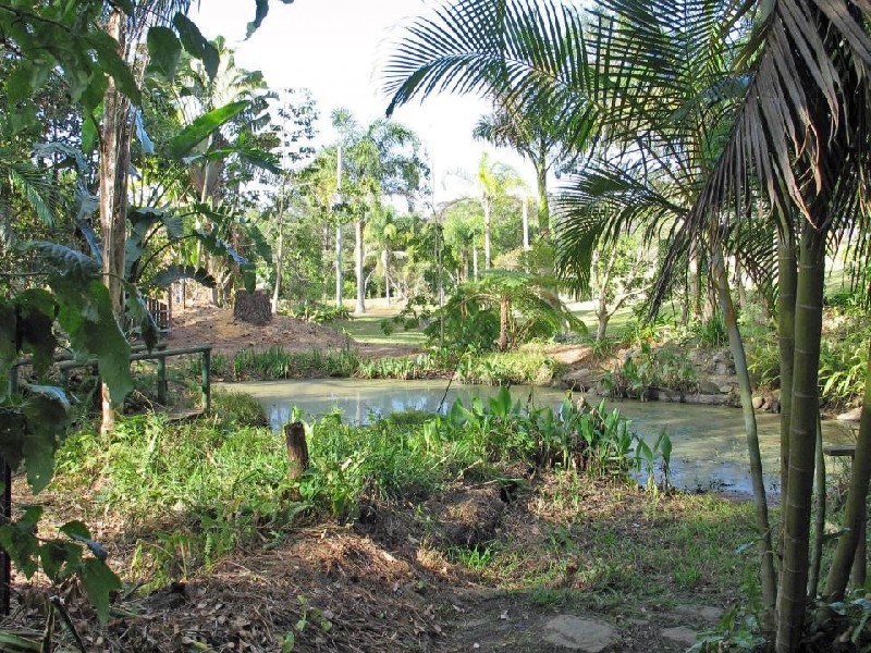 Mooloolah Valley QLD 4553