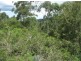 Mooloolah Valley QLD 4553