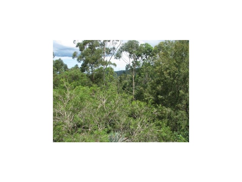Mooloolah Valley QLD 4553