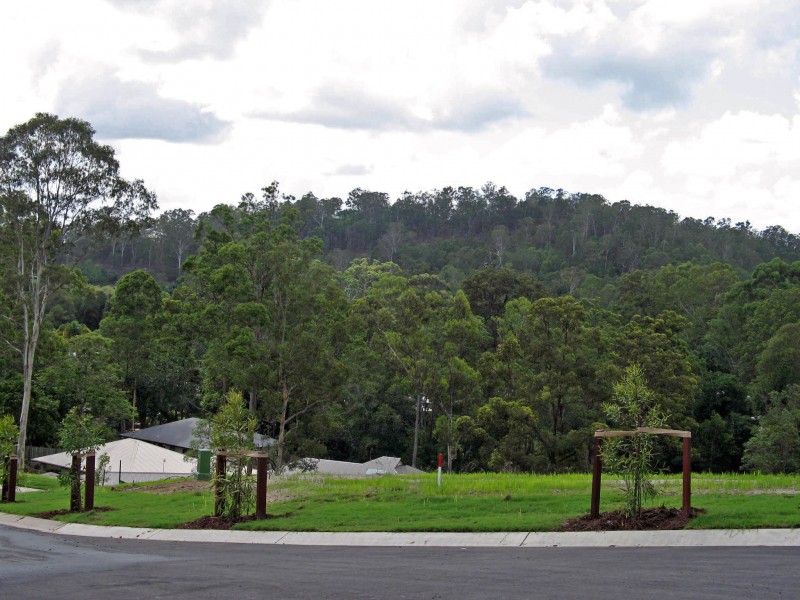 Mooloolah Valley QLD 4553