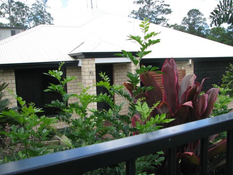 Mooloolah Valley QLD 4553