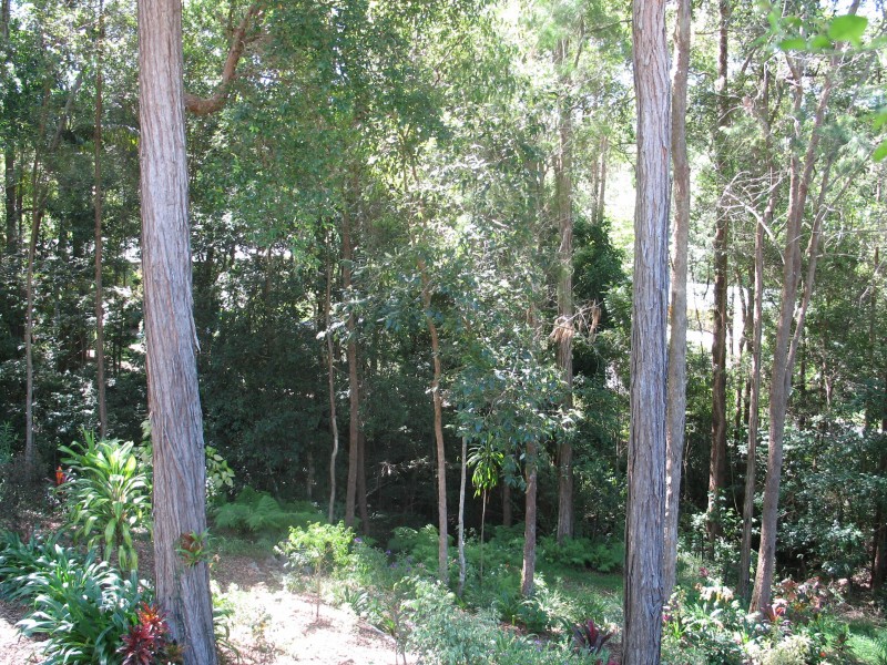 Mooloolah Valley QLD 4553