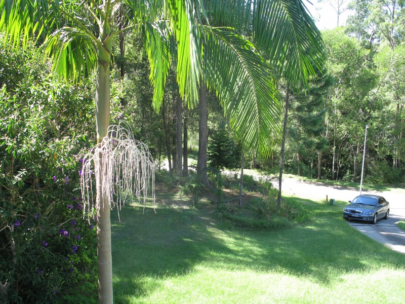 Mooloolah Valley QLD 4553