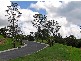 Mooloolah Valley QLD 4553