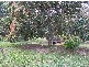 Glenview QLD 4553