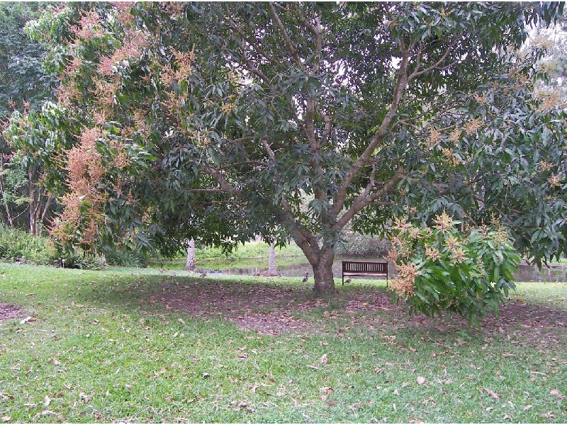 Glenview QLD 4553