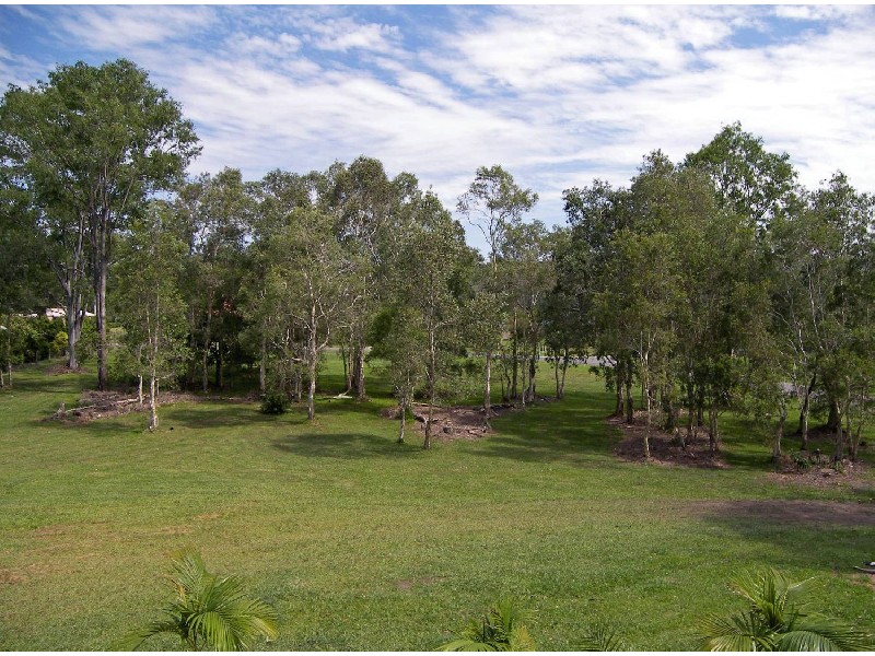 Mooloolah Valley QLD 4553