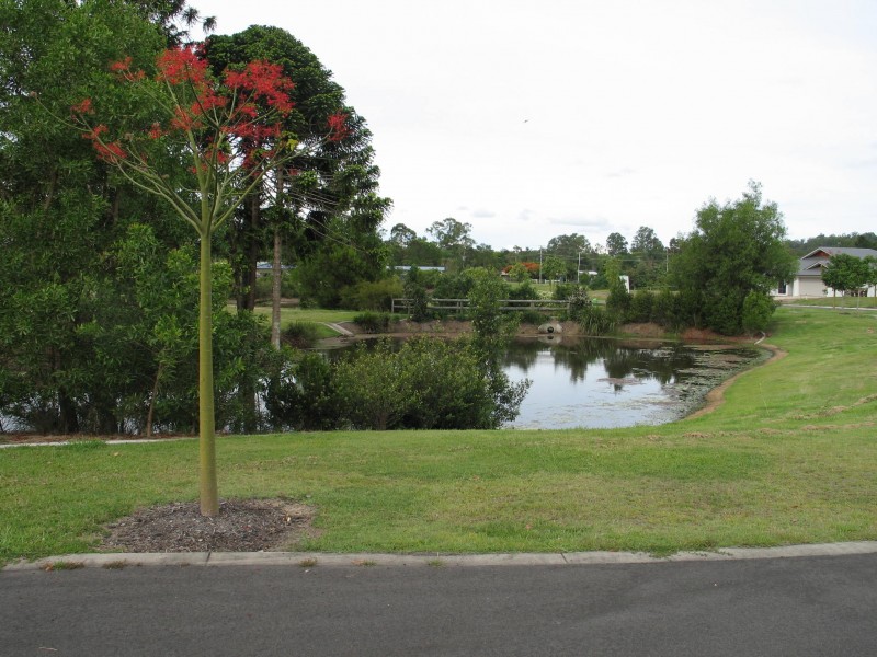 Mooloolah Valley QLD 4553