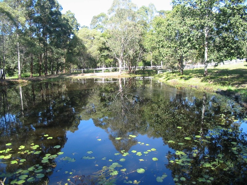 Mooloolah Valley QLD 4553