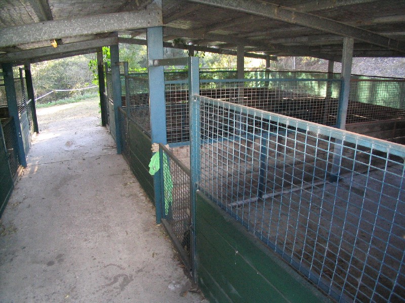 Mooloolah Valley QLD 4553