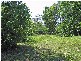 1 Brenda Court, Mooloolah Valley QLD 4553