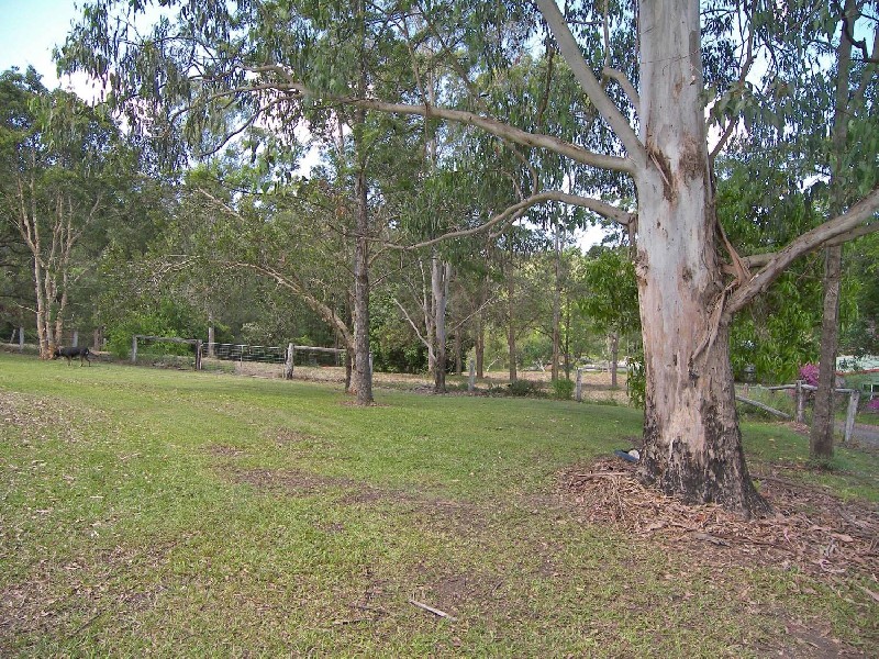 Mooloolah Valley QLD 4553