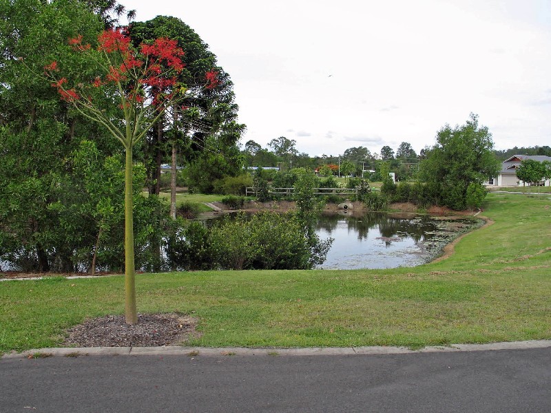 Mooloolah Valley QLD 4553