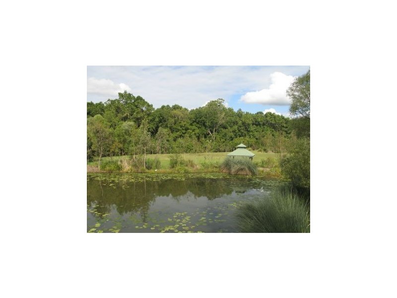 Mooloolah Valley QLD 4553