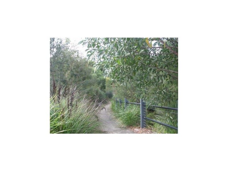 Mooloolah Valley QLD 4553