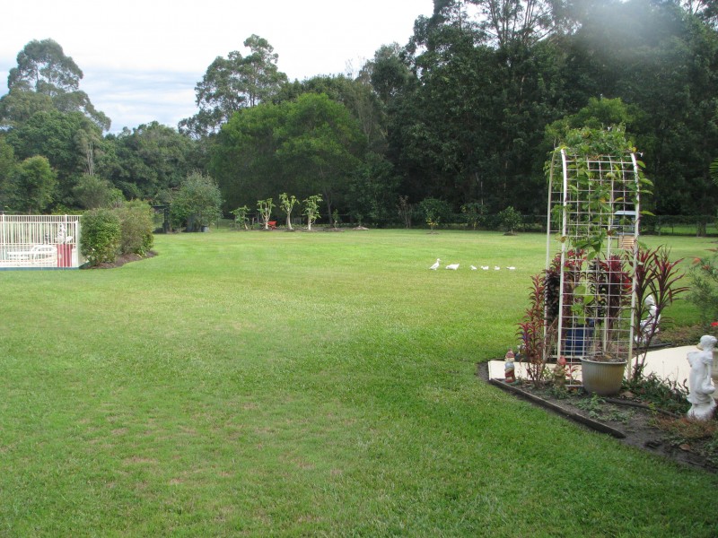 Mooloolah Valley QLD 4553