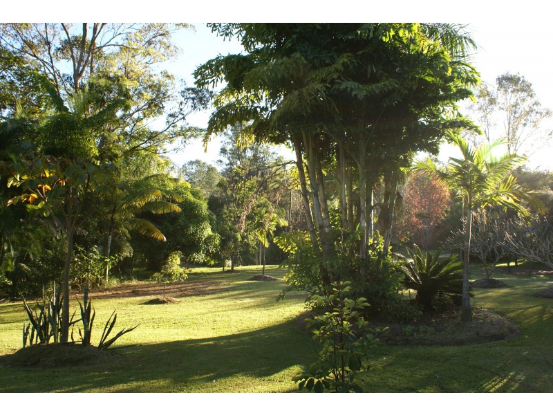 Mooloolah Valley QLD 4553