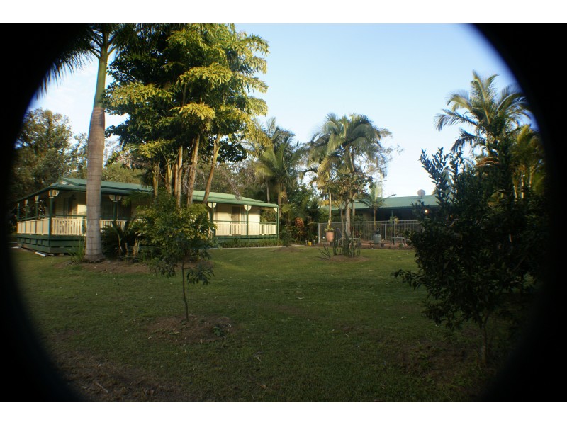 Mooloolah Valley QLD 4553