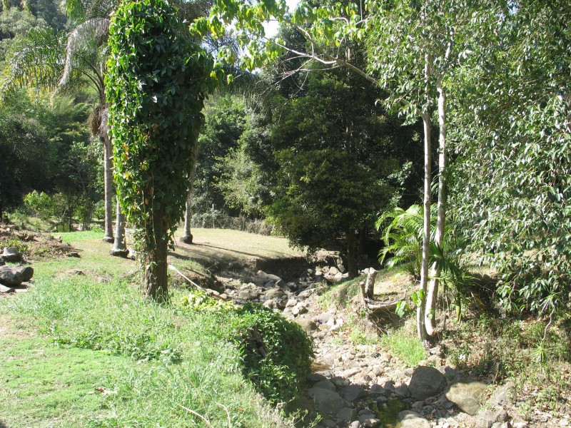 67 Jillian Road, Diamond Valley QLD 4553