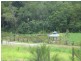 Mooloolah Valley QLD 4553